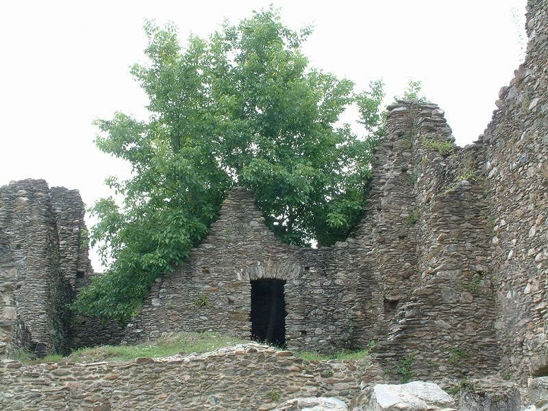 Abbazia di S. Maria di Corazzo - Carlopoli (CZ)